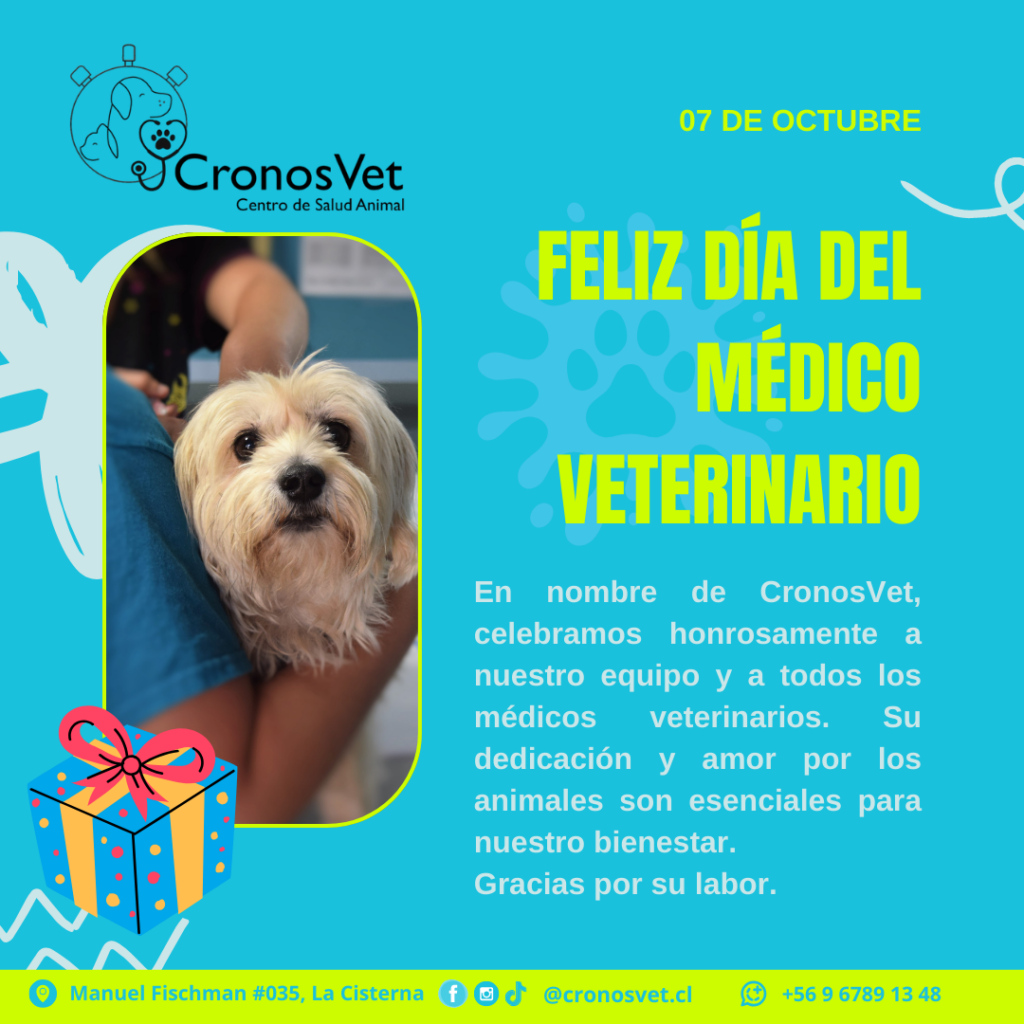 07 DE OCTUBRE - DIA DEL MEDICO VETERINARIO